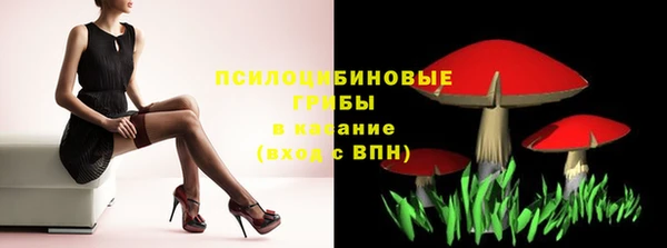 марки nbome Бородино