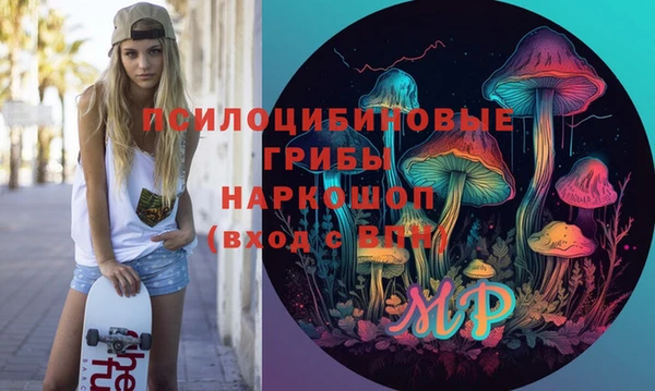 ГАЛЛЮЦИНОГЕННЫЕ ГРИБЫ Бугульма