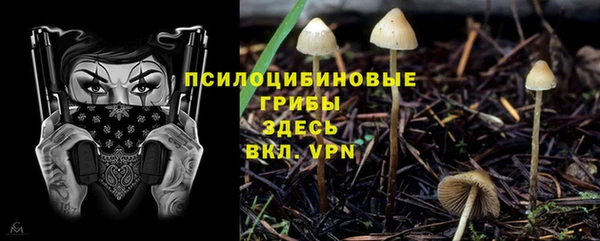 марки nbome Бородино
